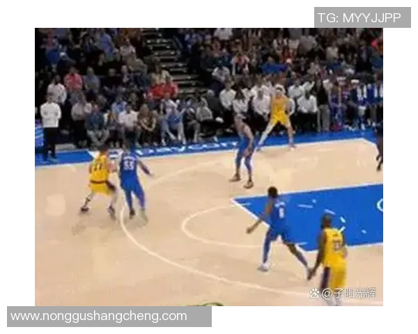 湖人雷霆赛场冲突引发激烈打斗球迷反应热烈