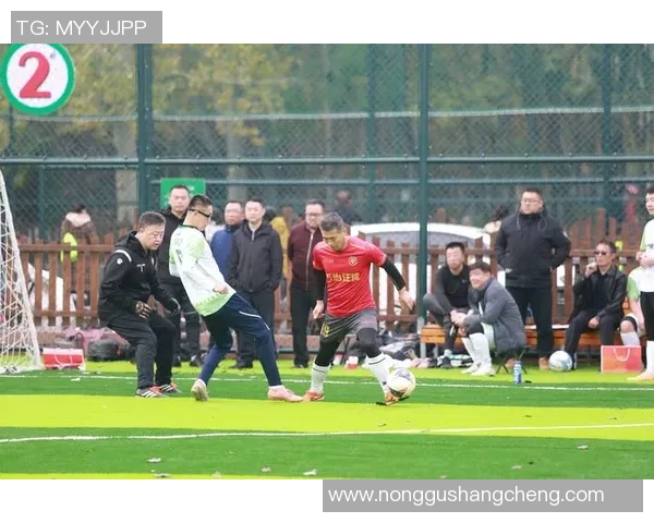 新干县足球比赛直播现场精彩纷呈球迷热情高涨共庆足球盛宴