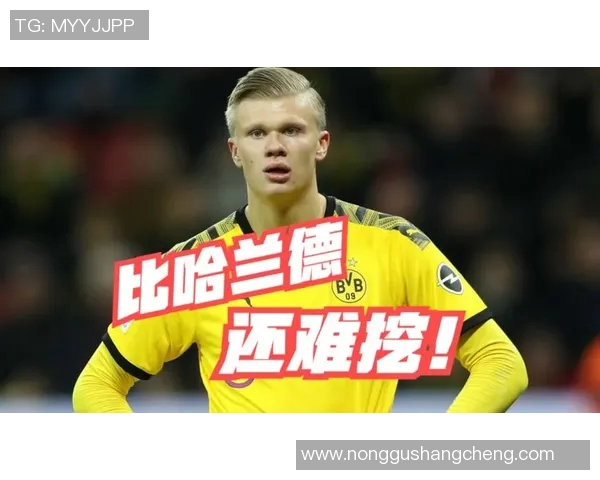 哈兰德:从新星到顶级射手的传奇之路与未来展望