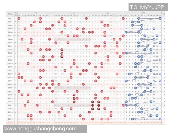 探索大乐透机选号的技巧与策略助你轻松中大奖的秘密分享