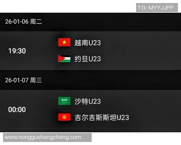 亚青赛约旦对阵越南精彩直播全程回顾与分析