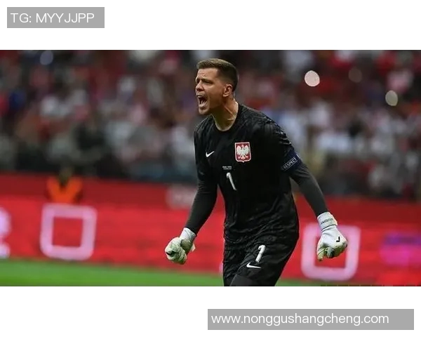 什琴斯尼的传奇旅程与足球世界的辉煌成就探索