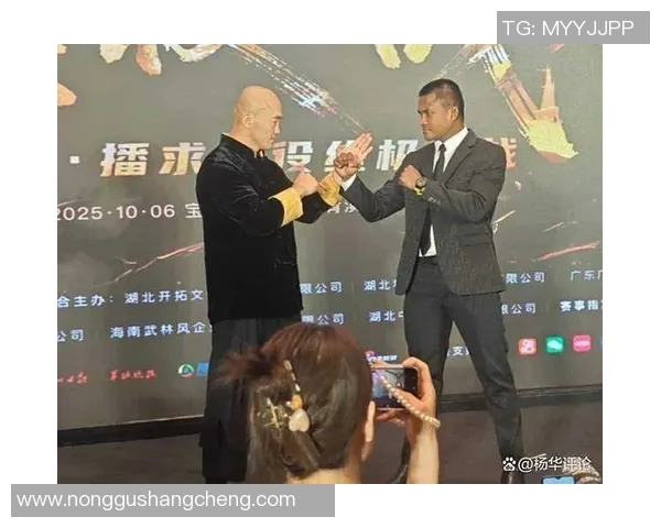 2017年搏击盛事播求对决一龙精彩瞬间回顾与分析